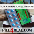 5Gm Kamagra 100Mg Oral Jelly new03